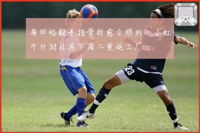 角田裕毅手指骨折愈合顺利，小红牛计划让其下周二重返工厂
