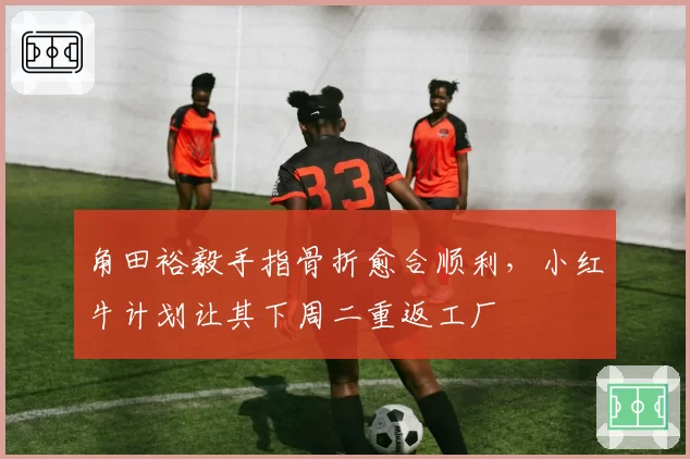 角田裕毅手指骨折愈合顺利，小红牛计划让其下周二重返工厂